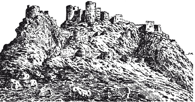 Иллюстрация к книге — История армянского народа. Доблестные потомки великого Ноя [i_168.jpg]