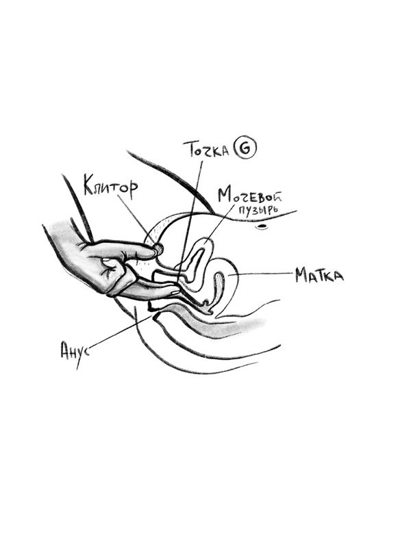Иллюстрация к книге — FAQ. 100 вопросов и ответов про оргазм [i_015.jpg]