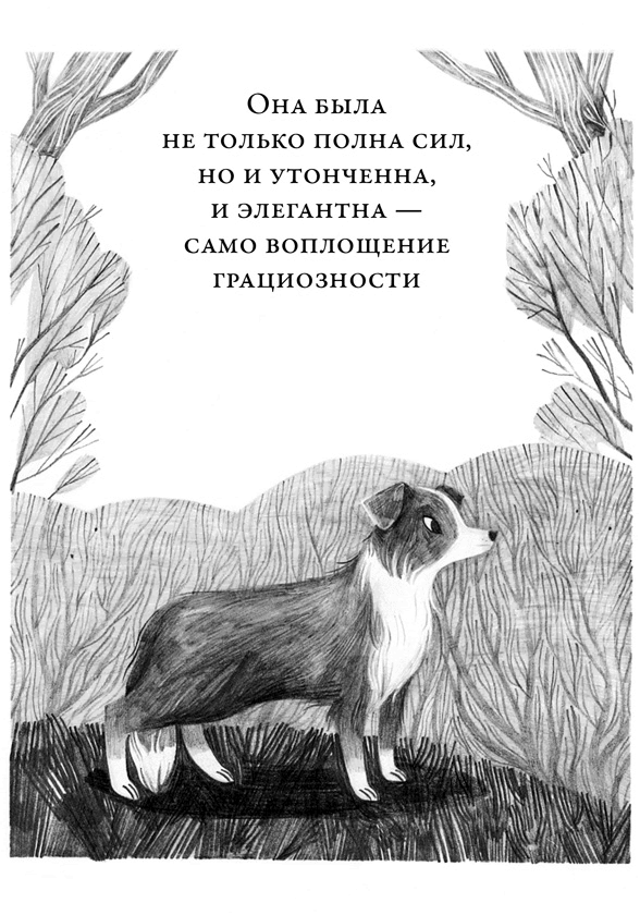Иллюстрация к книге — Те, кто делает нас лучше [i_031.jpg]