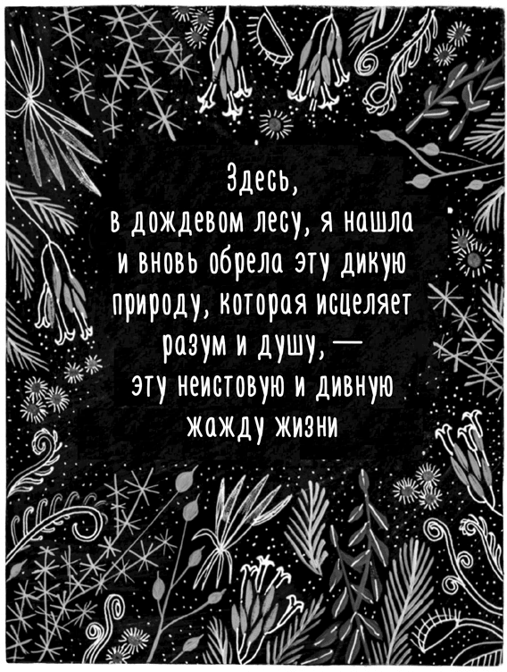 Иллюстрация к книге — Те, кто делает нас лучше [i_042.jpg]