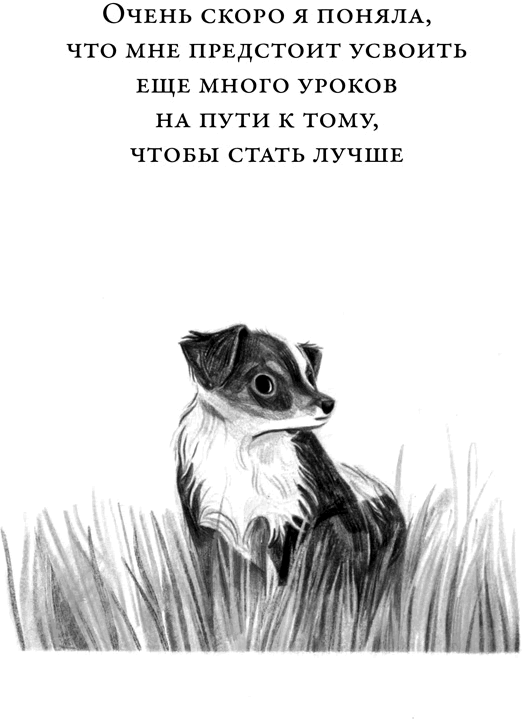 Иллюстрация к книге — Те, кто делает нас лучше [i_067.jpg]