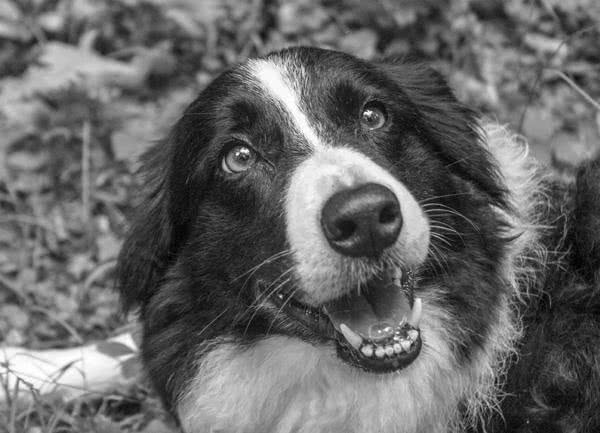 Иллюстрация к книге — Те, кто делает нас лучше [i_071.jpg]