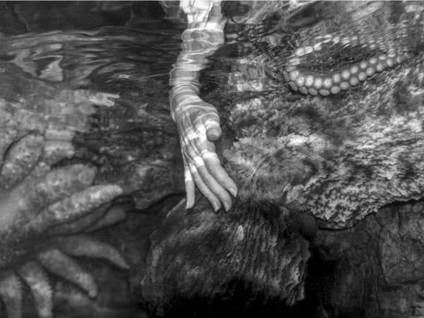 Иллюстрация к книге — Те, кто делает нас лучше [i_072.jpg]