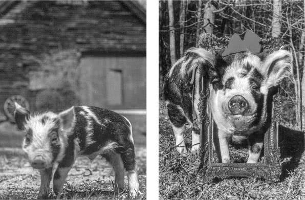 Иллюстрация к книге — Те, кто делает нас лучше [i_074.jpg]