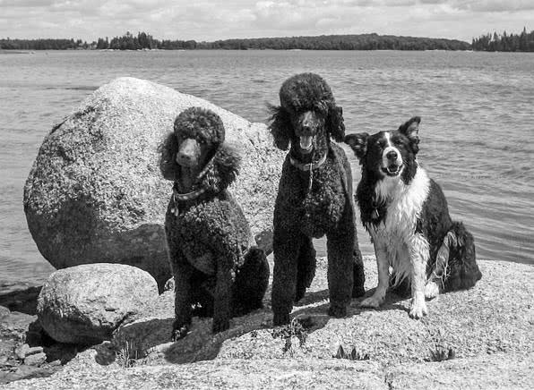 Иллюстрация к книге — Те, кто делает нас лучше [i_075.jpg]