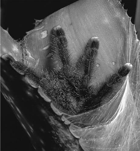 Иллюстрация к книге — Те, кто делает нас лучше [i_077.jpg]