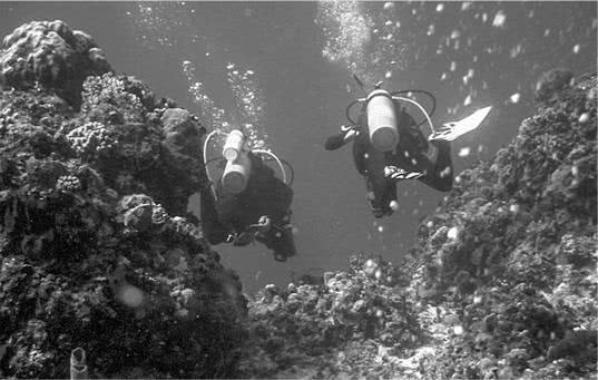 Иллюстрация к книге — Те, кто делает нас лучше [i_078.jpg]