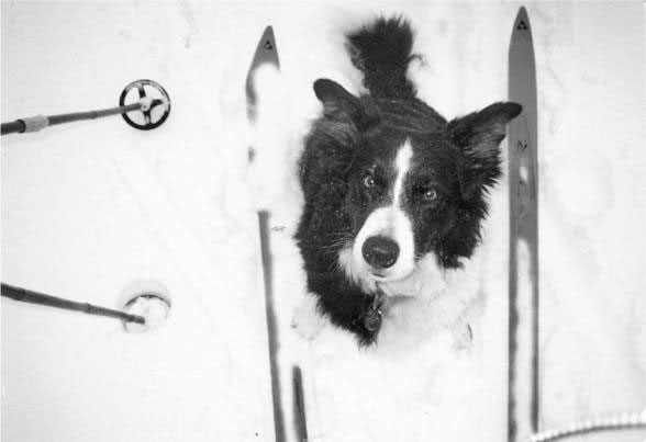 Иллюстрация к книге — Те, кто делает нас лучше [i_082.jpg]