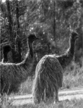 Иллюстрация к книге — Те, кто делает нас лучше [i_086.jpg]