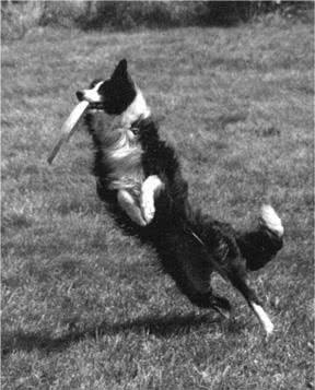 Иллюстрация к книге — Те, кто делает нас лучше [i_090.jpg]