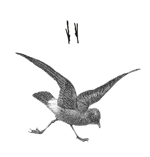 Иллюстрация к книге — Где кончается мир [i_004.jpg]