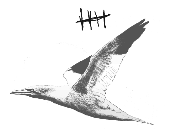 Иллюстрация к книге — Где кончается мир [i_010.jpg]