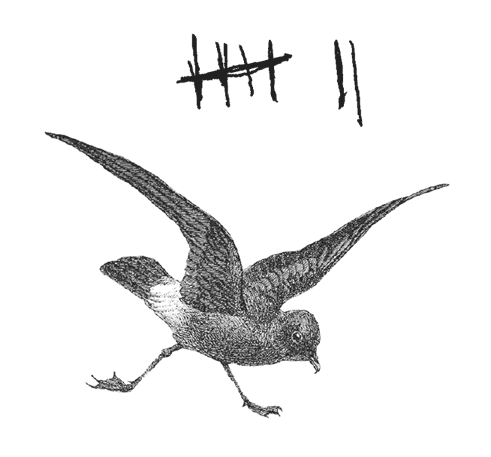 Иллюстрация к книге — Где кончается мир [i_014.jpg]