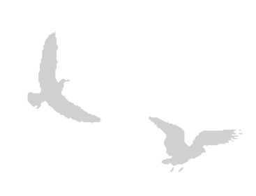 Иллюстрация к книге — Где кончается мир [i_017.jpg]