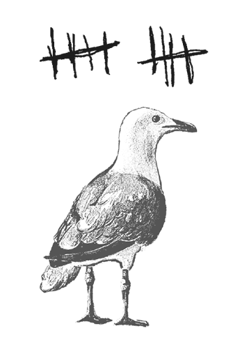 Иллюстрация к книге — Где кончается мир [i_020.jpg]