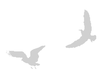 Иллюстрация к книге — Где кончается мир [i_021.jpg]