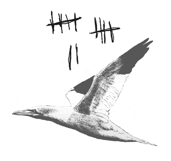 Иллюстрация к книге — Где кончается мир [i_024.jpg]