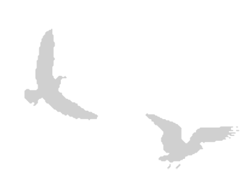 Иллюстрация к книге — Где кончается мир [i_033.jpg]