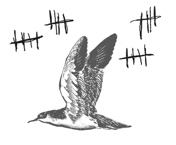 Иллюстрация к книге — Где кончается мир [i_037.jpg]