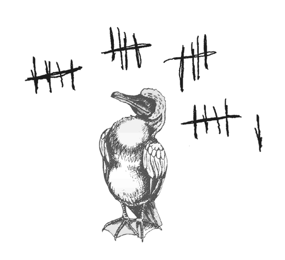 Иллюстрация к книге — Где кончается мир [i_038.jpg]