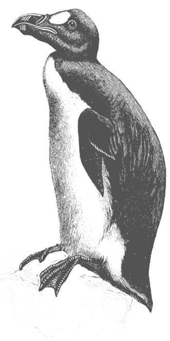 Иллюстрация к книге — Где кончается мир [i_043.jpg]