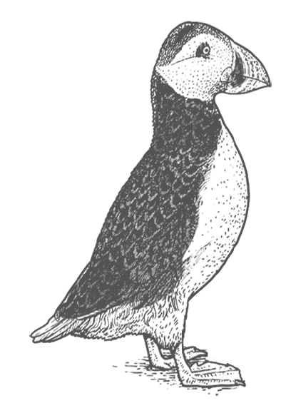 Иллюстрация к книге — Где кончается мир [i_044.jpg]