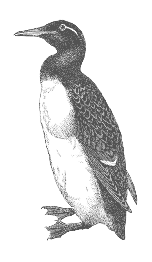 Иллюстрация к книге — Где кончается мир [i_047.jpg]