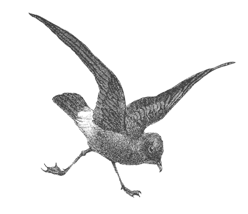 Иллюстрация к книге — Где кончается мир [i_051.jpg]