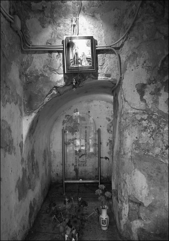 Иллюстрация к книге — Войны и битвы домонгольской Руси [i_066.jpg]