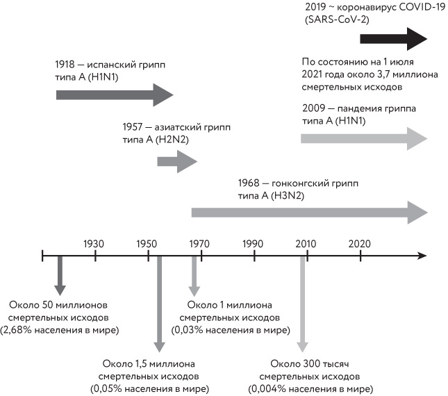 Иллюстрация к книге — Чудо дыхания. Как работают наши легкие и как поддержать их здоровье [i_001.jpg]