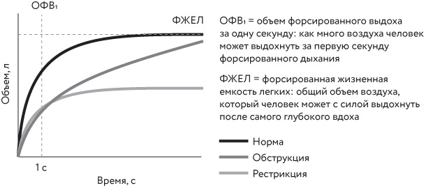 Иллюстрация к книге — Чудо дыхания. Как работают наши легкие и как поддержать их здоровье [i_002.jpg]