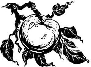 Иллюстрация к книге — Навия. Возвращение [i_045.jpg]