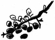 Иллюстрация к книге — Добриллион [i_016.jpg]