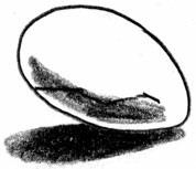 Иллюстрация к книге — Добриллион [i_019.jpg]