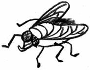 Иллюстрация к книге — Добриллион [i_051.jpg]