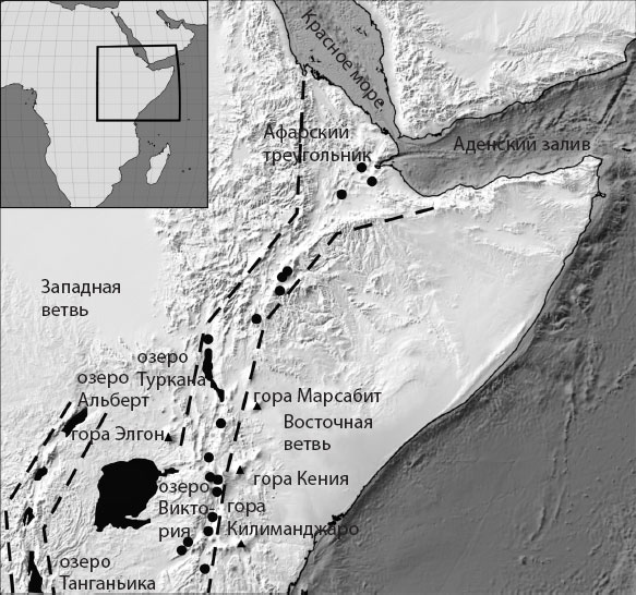 Иллюстрация к книге — Происхождение. Как Земля создала нас [i_001.jpg]