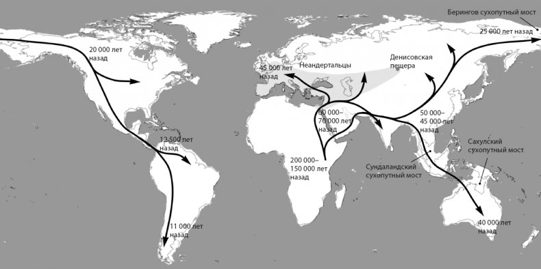 Иллюстрация к книге — Происхождение. Как Земля создала нас [i_006.jpg]