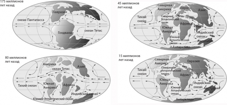 Иллюстрация к книге — Происхождение. Как Земля создала нас [i_010.jpg]