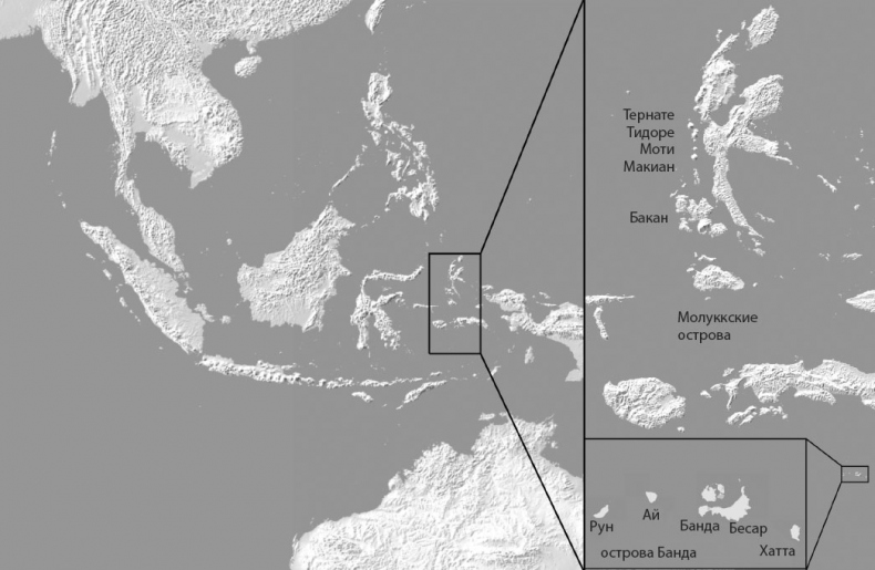 Иллюстрация к книге — Происхождение. Как Земля создала нас [i_013.jpg]
