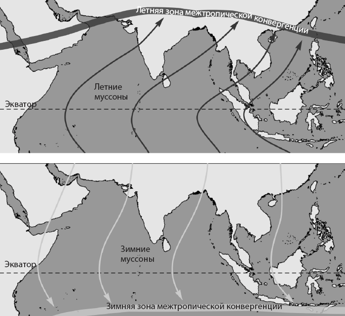 Иллюстрация к книге — Происхождение. Как Земля создала нас [i_021.jpg]