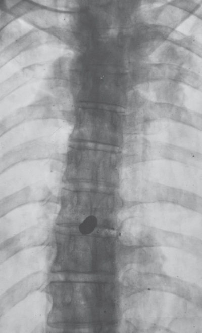 Иллюстрация к книге — Нетленный прах [i_003.jpg]