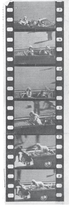 Иллюстрация к книге — Нетленный прах [i_006.jpg]