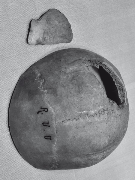 Иллюстрация к книге — Нетленный прах [i_015.jpg]