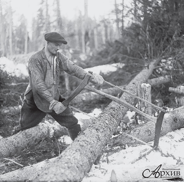 Иллюстрация к книге — В поисках социалистического Эльдорадо: североамериканские финны в Советской Карелии 1930-х годов [i_030.jpg]
