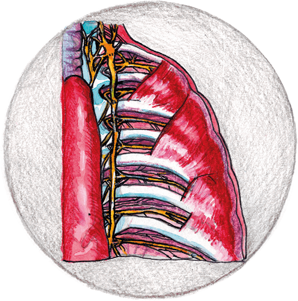 Иллюстрация к книге — Хрупкий мозг. Инсульту не быть? [img_48.jpg]