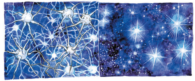 Иллюстрация к книге — Хрупкий мозг. Инсульту не быть? [img_5.jpg]