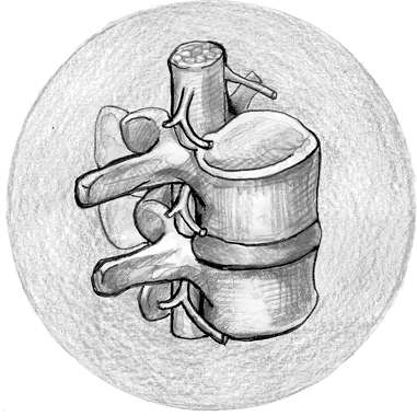 Иллюстрация к книге — Хрупкий мозг. Инсульту не быть? [img_79.jpg]