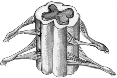 Иллюстрация к книге — Хрупкий мозг. Инсульту не быть? [img_80.jpg]