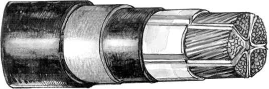 Иллюстрация к книге — Хрупкий мозг. Инсульту не быть? [img_82.jpg]