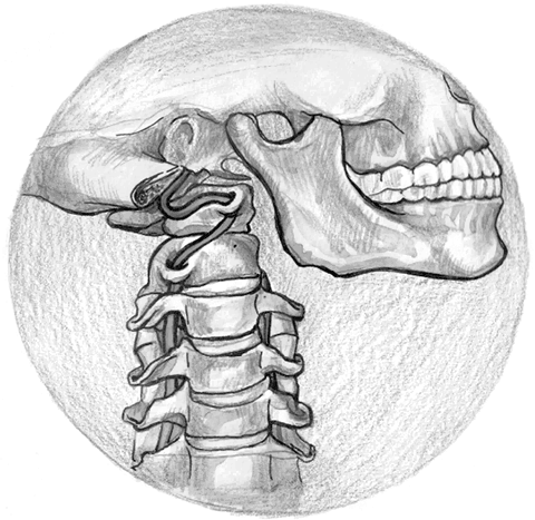 Иллюстрация к книге — Хрупкий мозг. Инсульту не быть? [img_83.jpg]